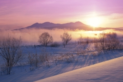 雪うさぎ  (Snowy dawn landscape near Hokkaido, Japan)